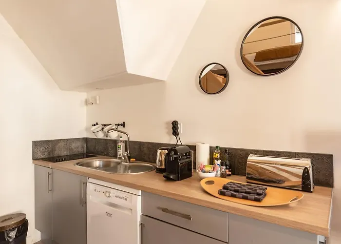 La Mezzanine D'au Sans Pareil- Cosy Center 公寓